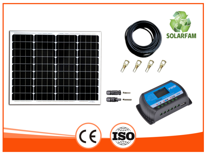50W 12V Mono rigido pannello solare kit con 10A PWM contorller-